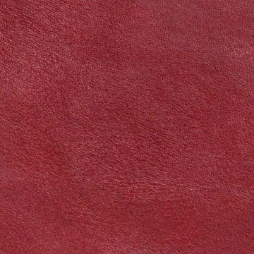 Red Leather