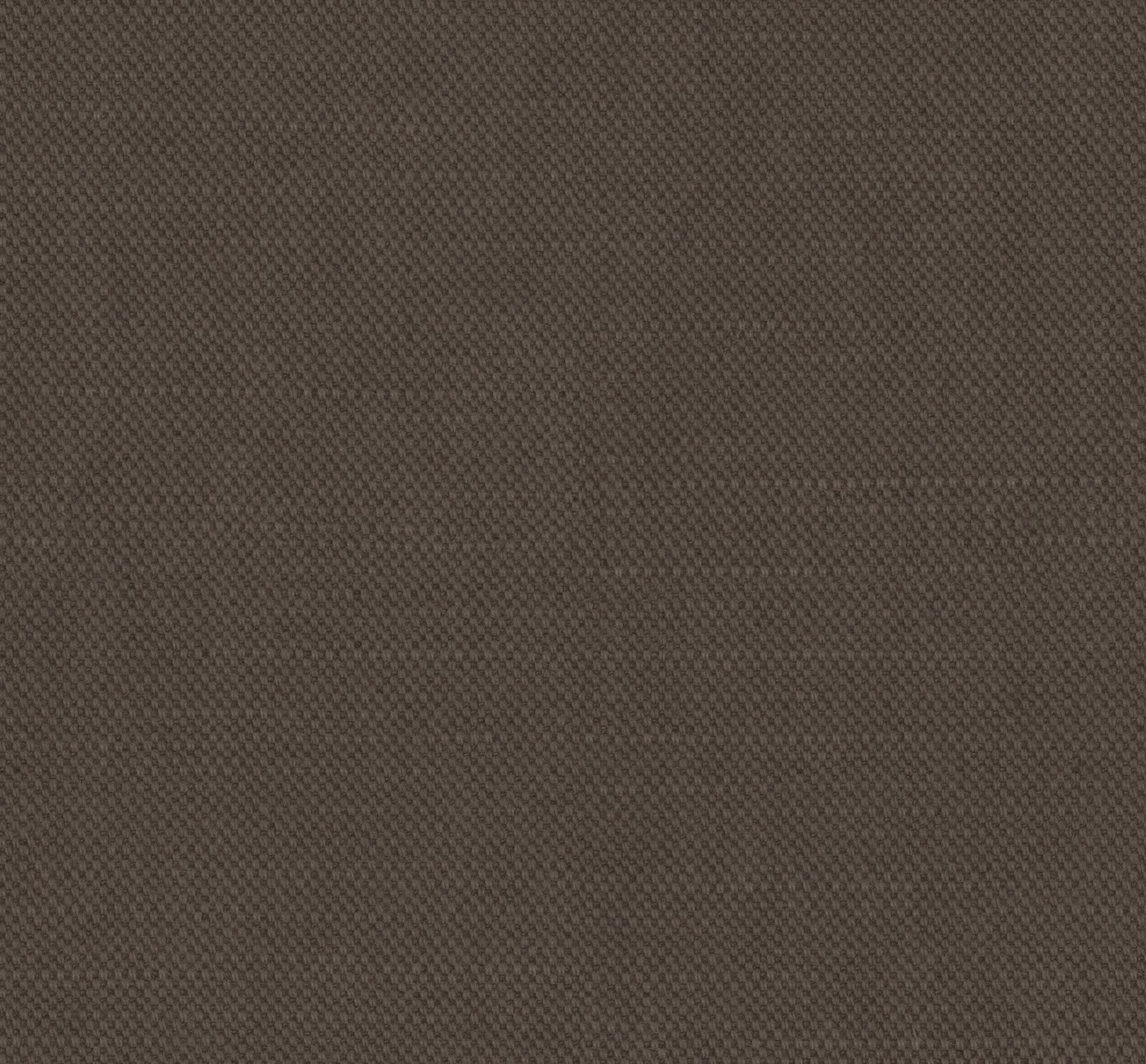 Shitake Linen