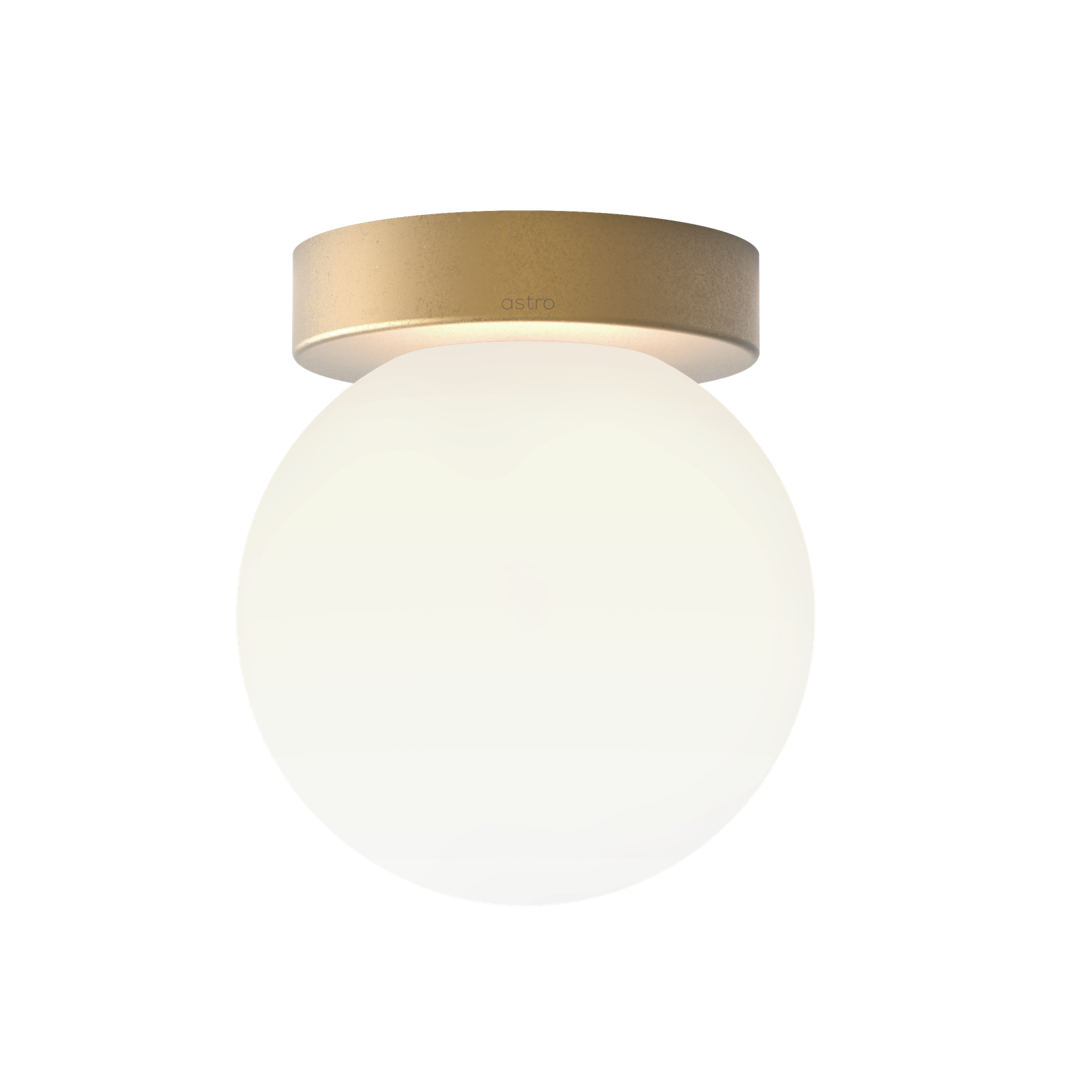 Tacoma Surface