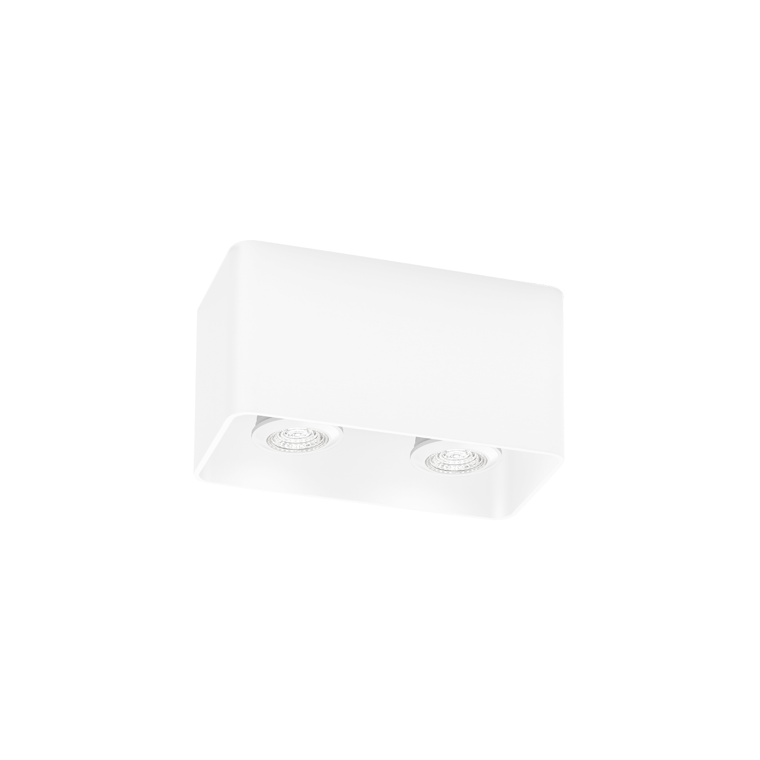 Docus