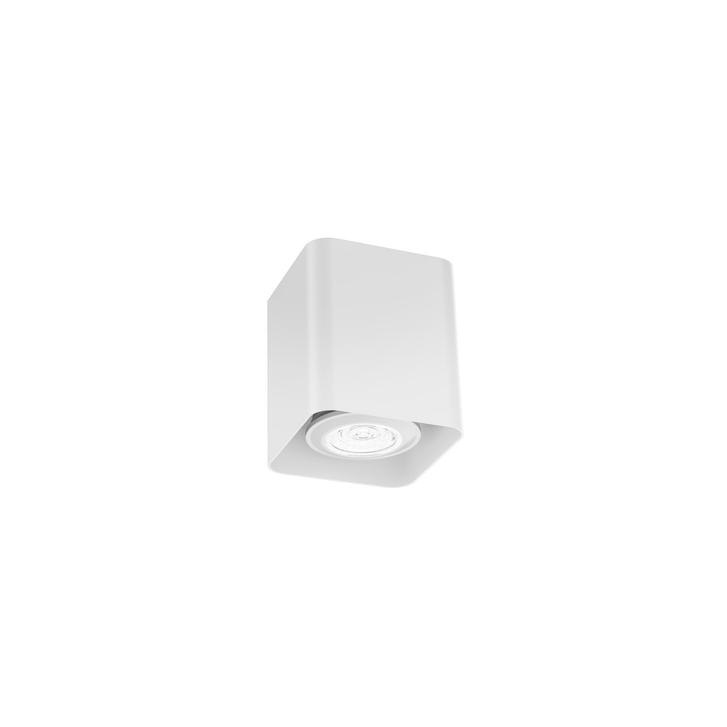 Docus