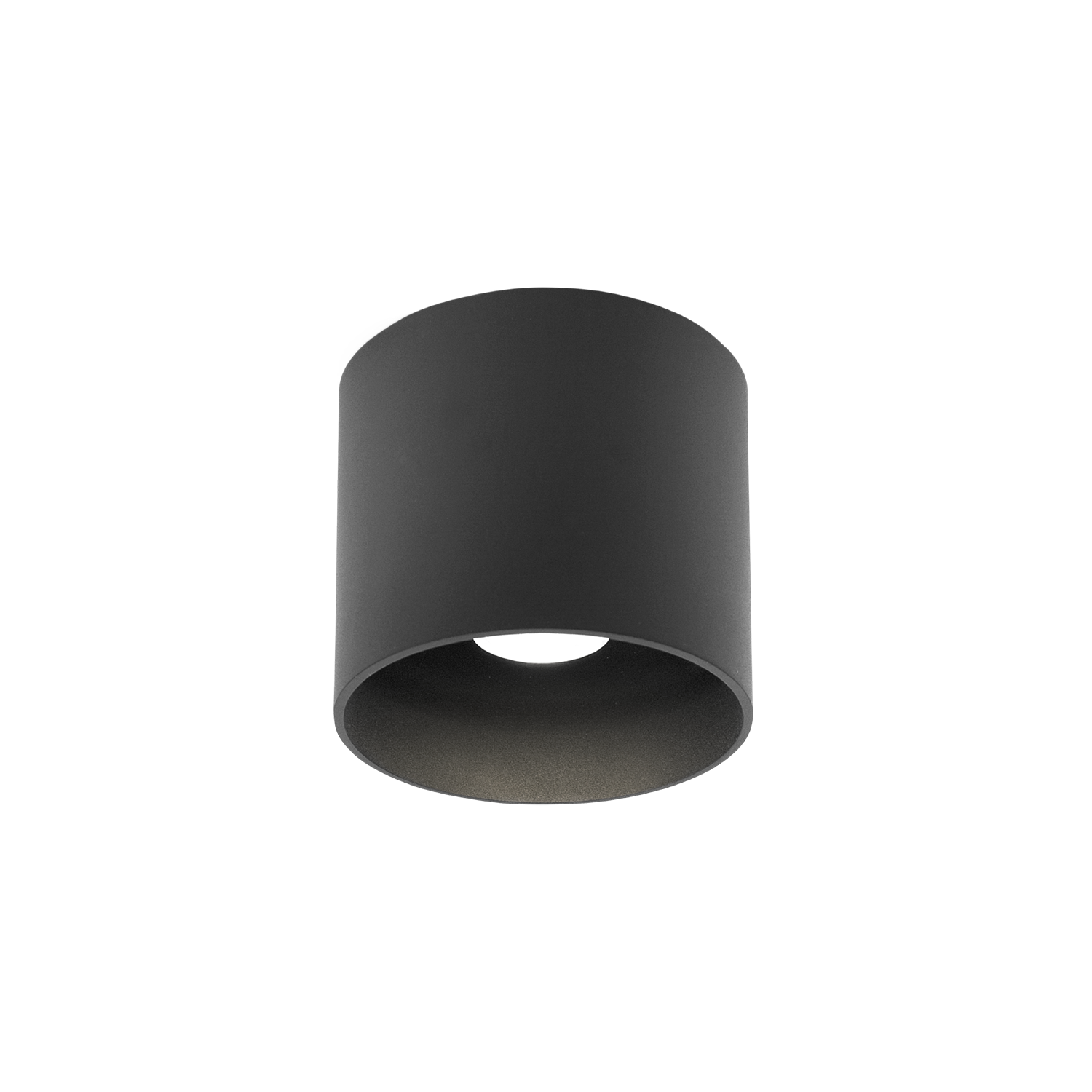 Ray