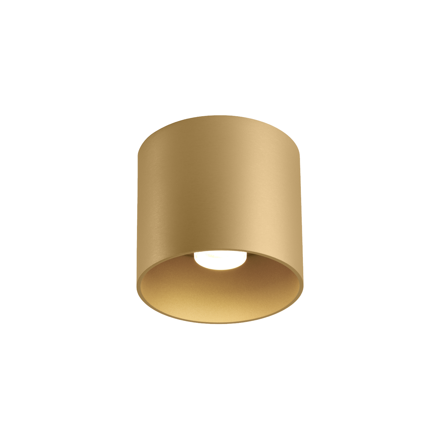 Ray