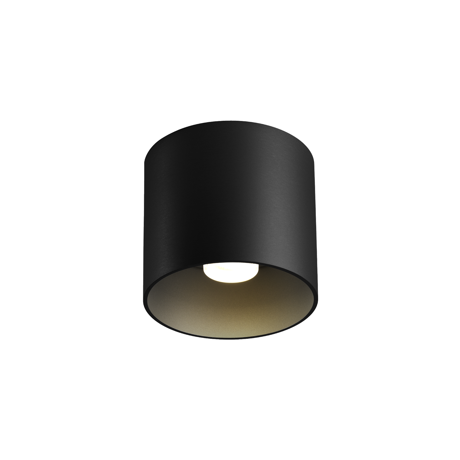 Ray