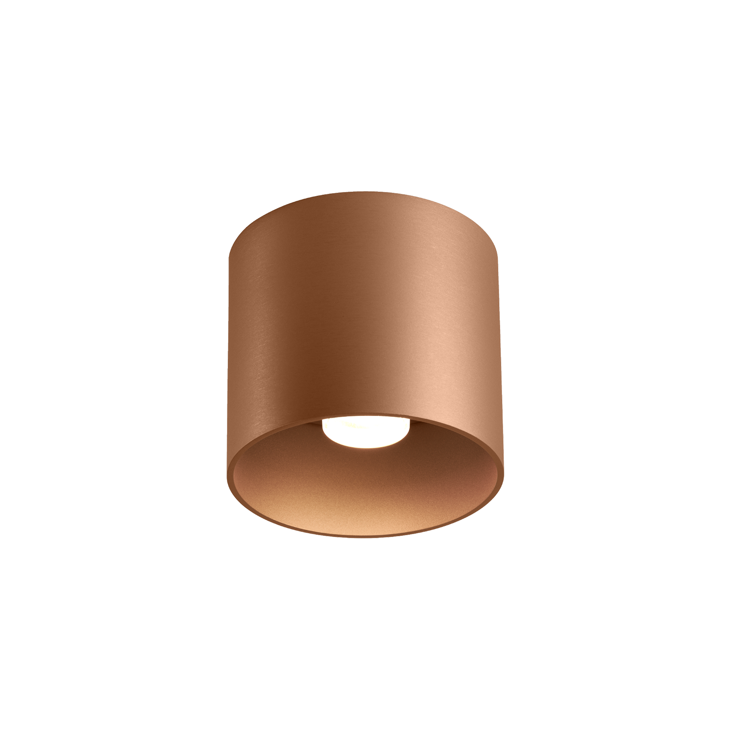 Ray