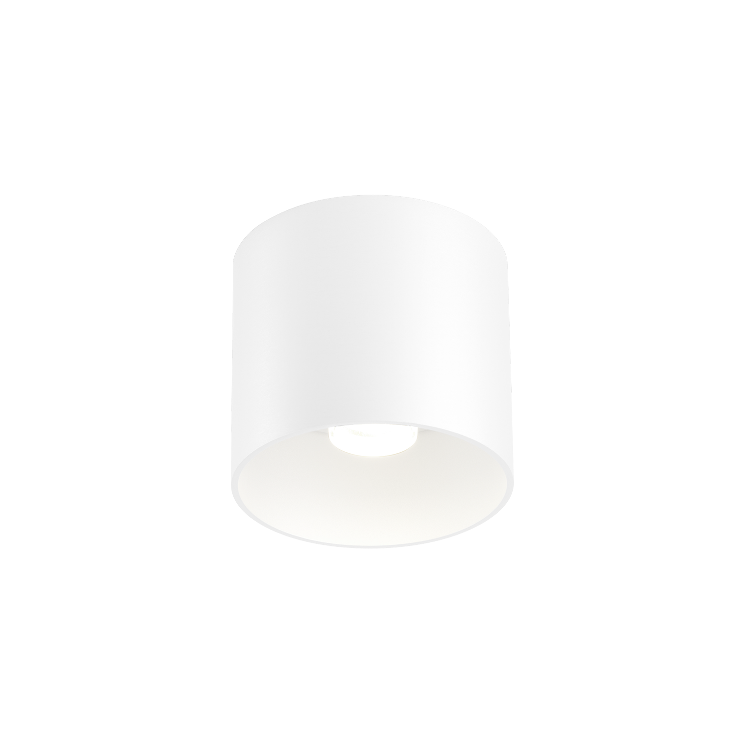 Ray
