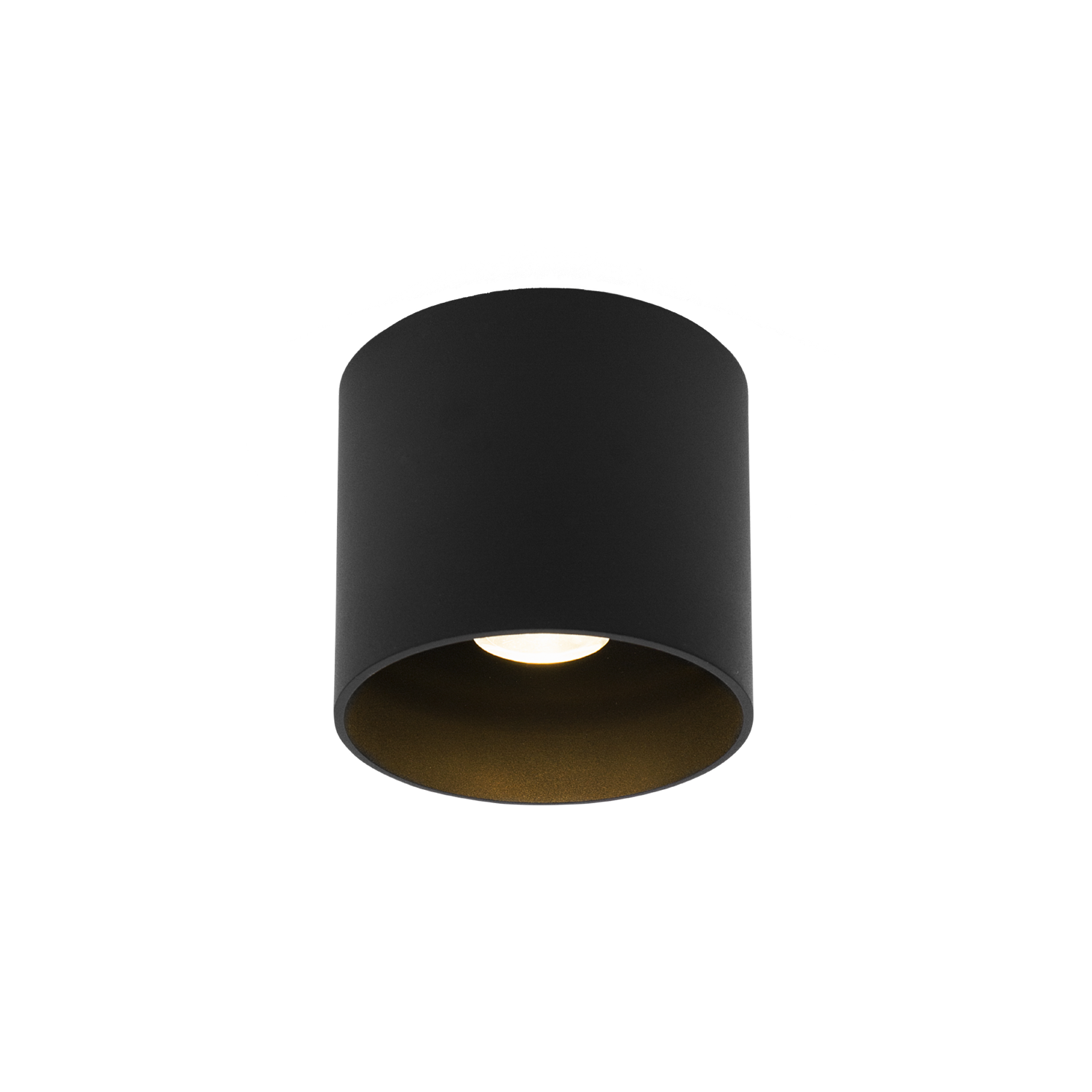 Ray