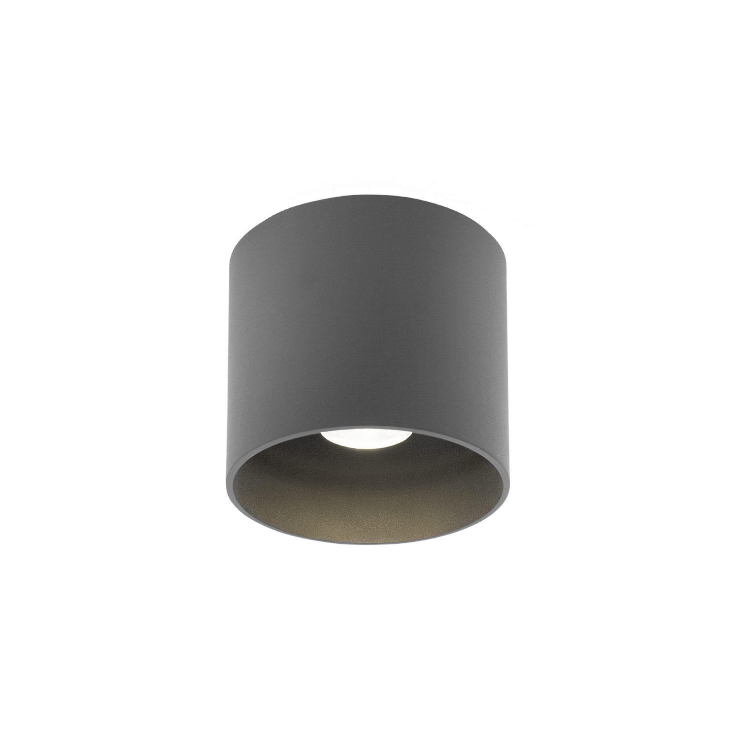 Ray
