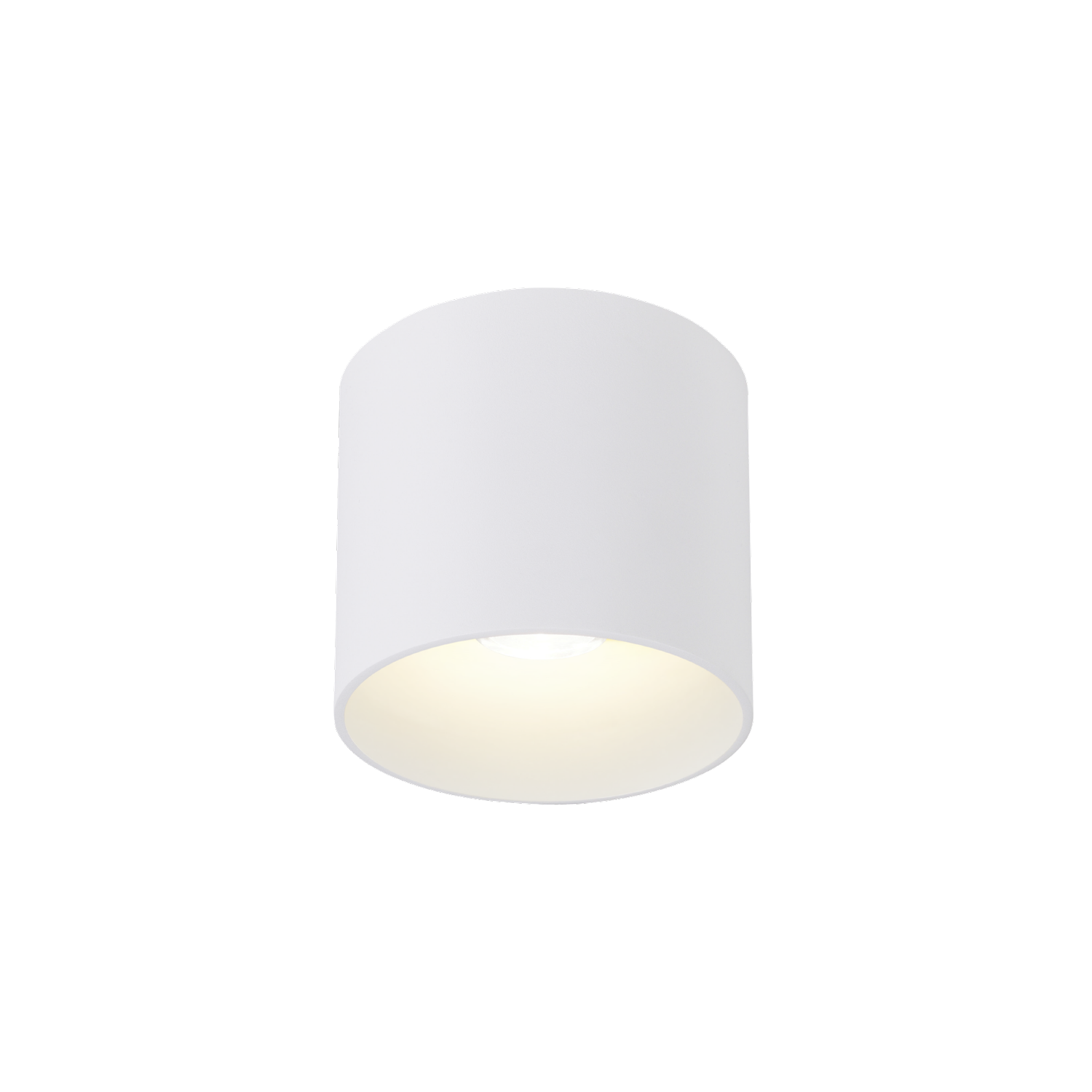 Ray