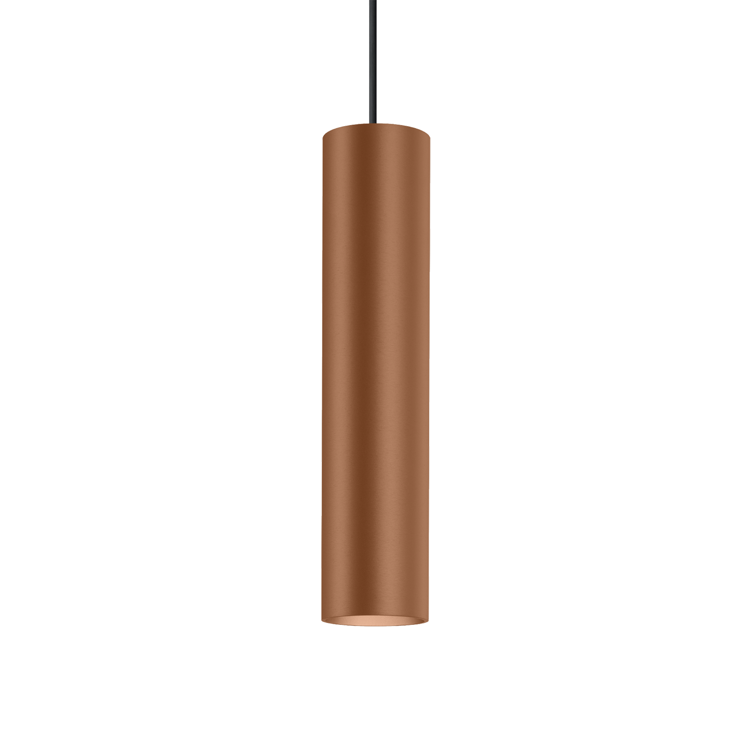 Ray