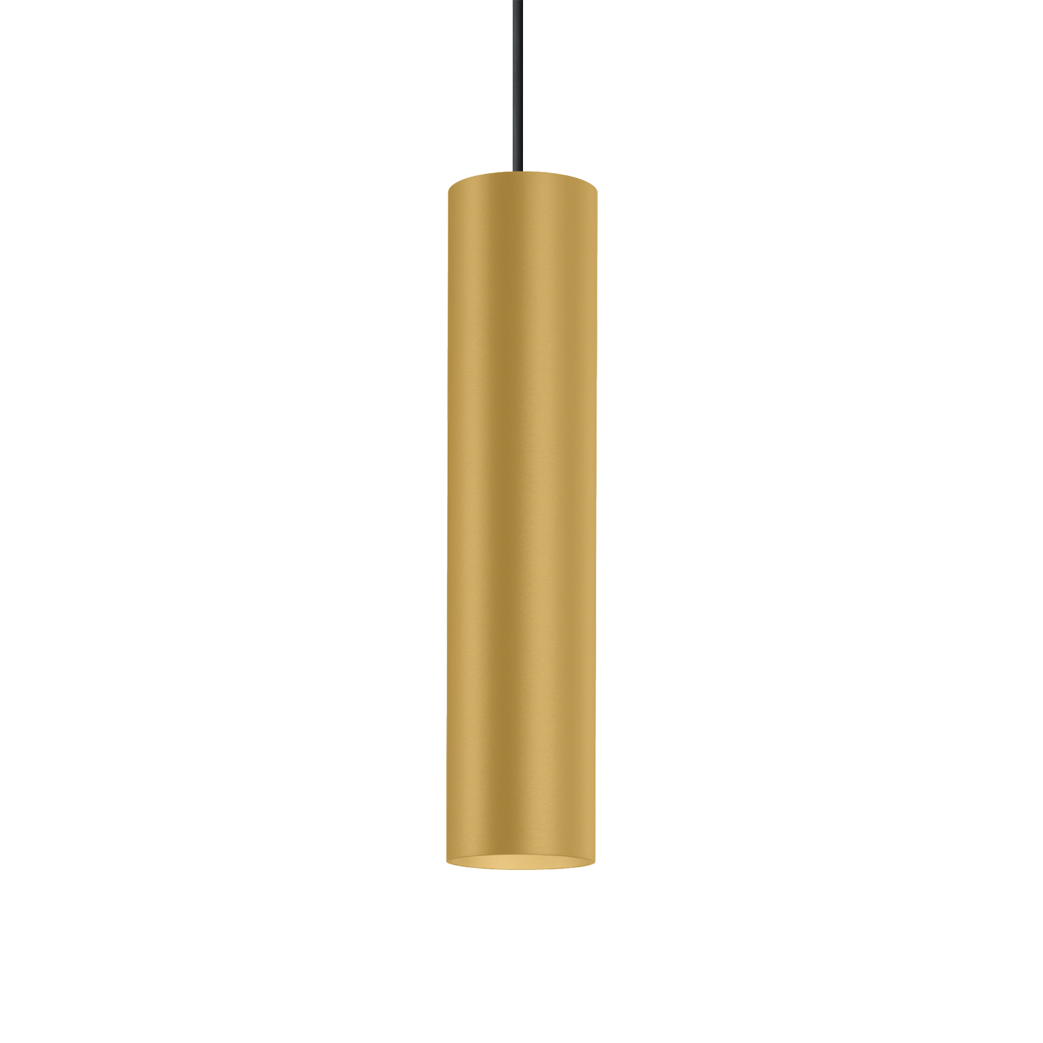 Ray