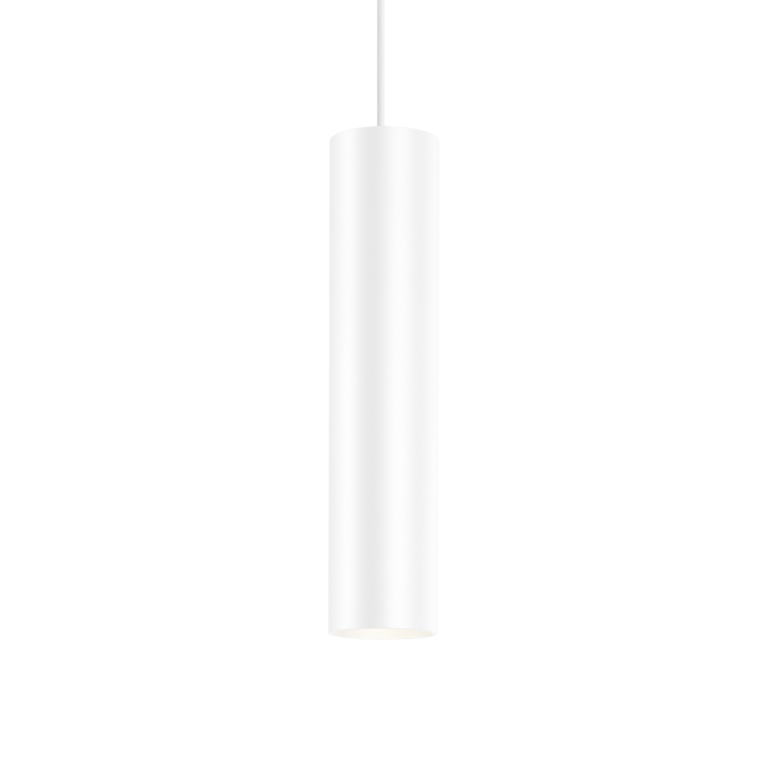 Ray