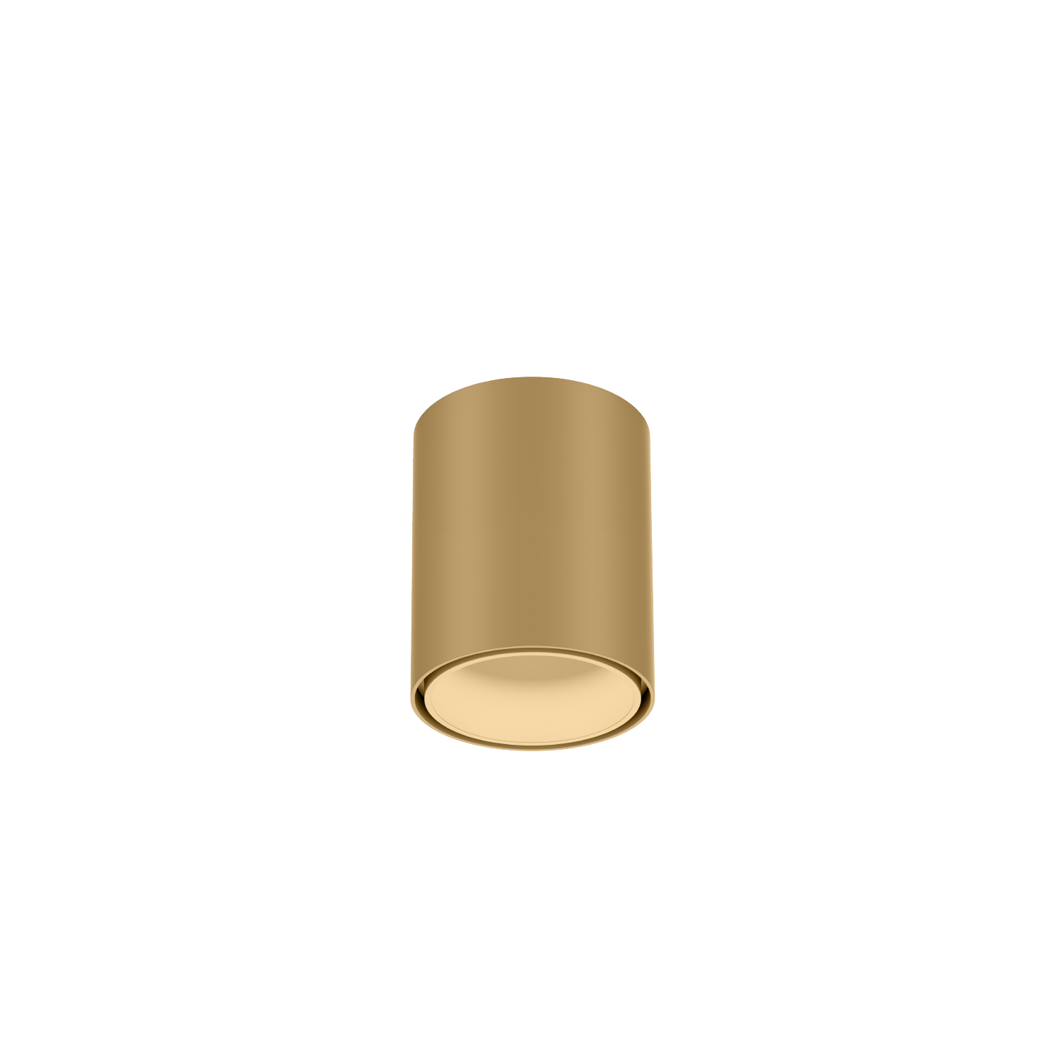 Ray