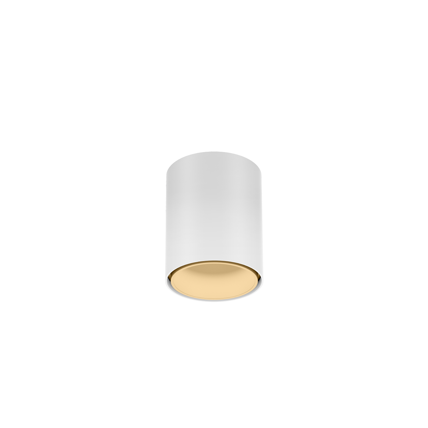 Ray