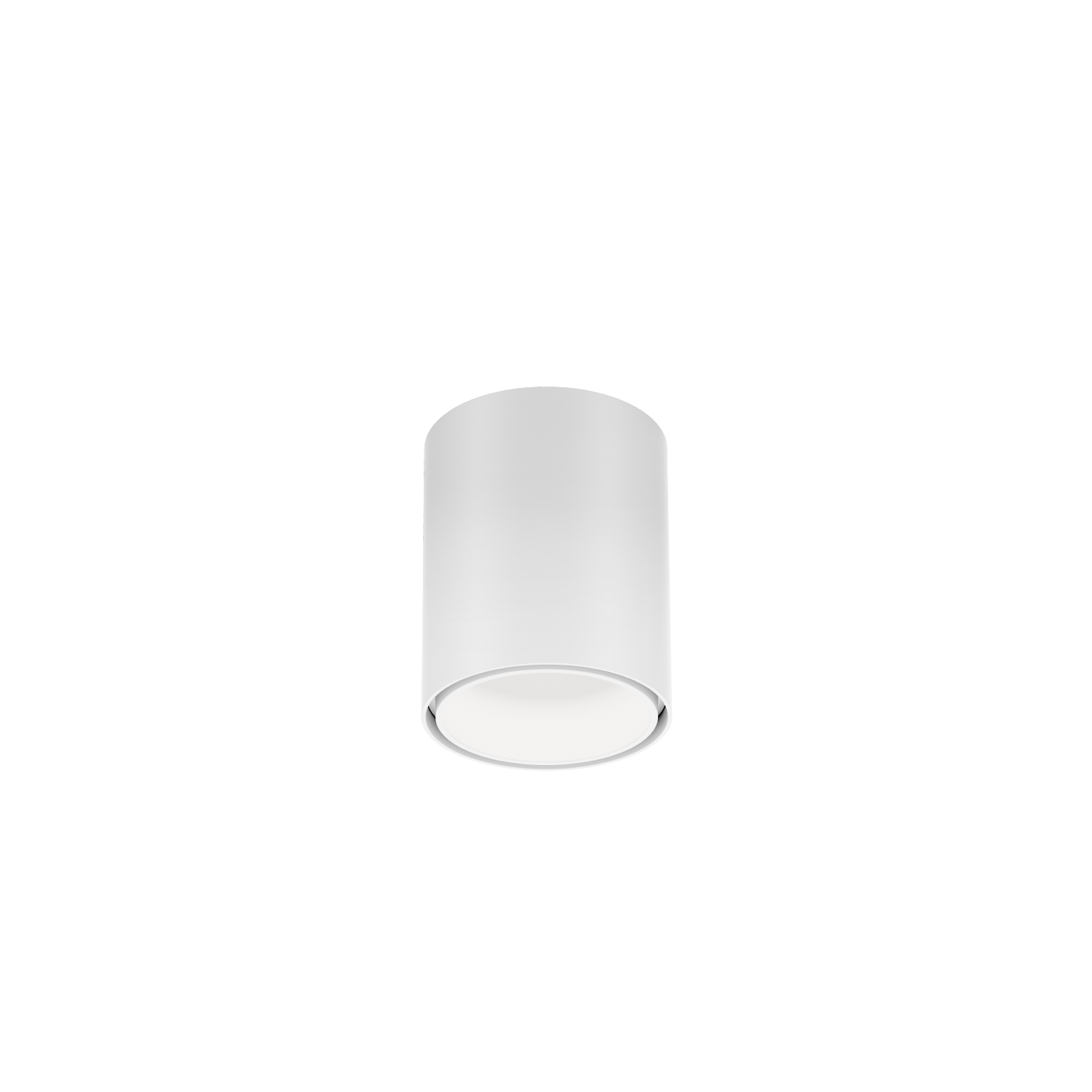 Ray