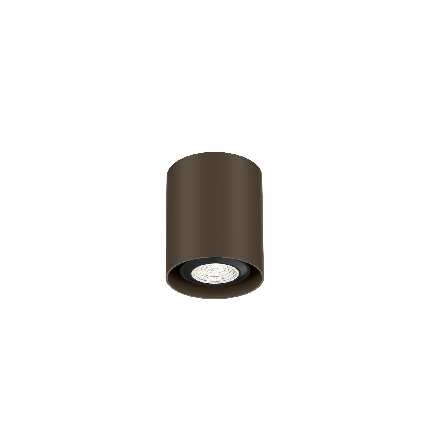 Ray