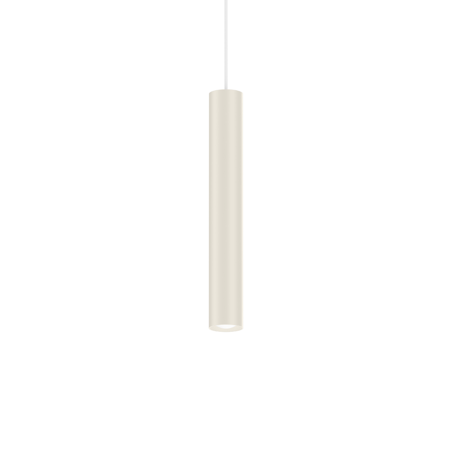 Ray
