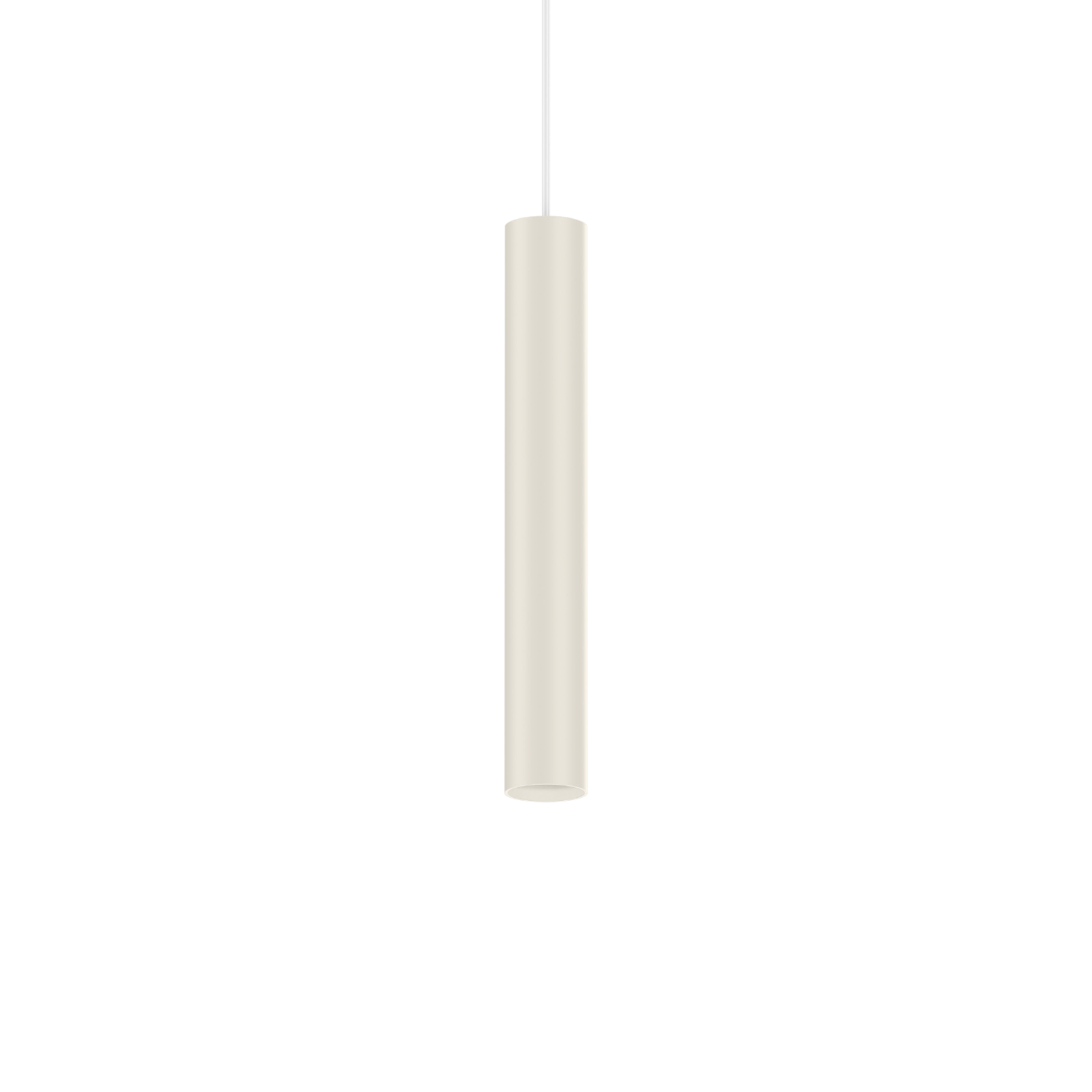 Ray
