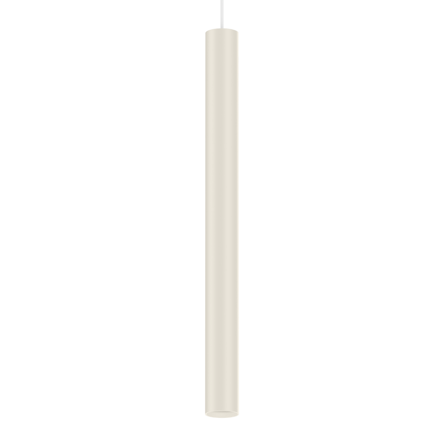 Ray