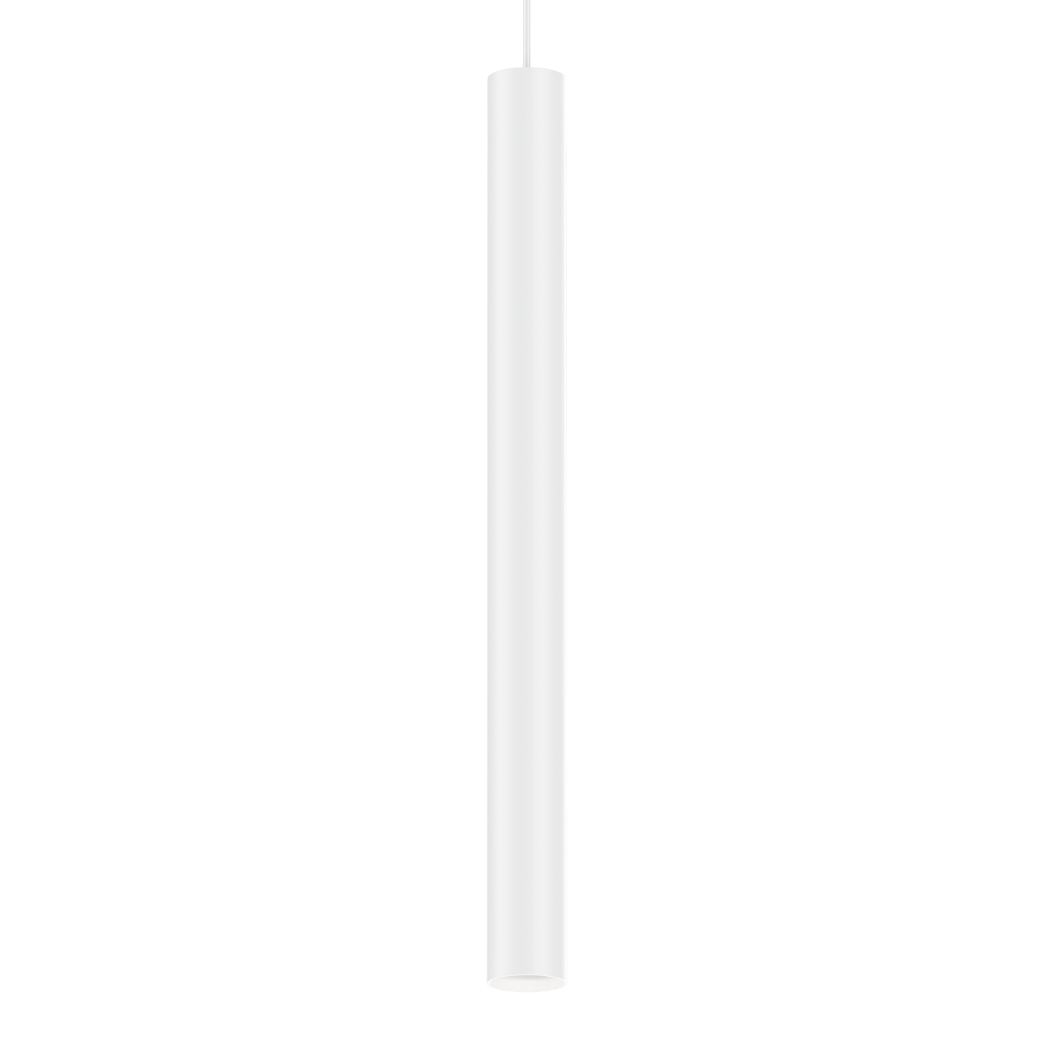 Ray