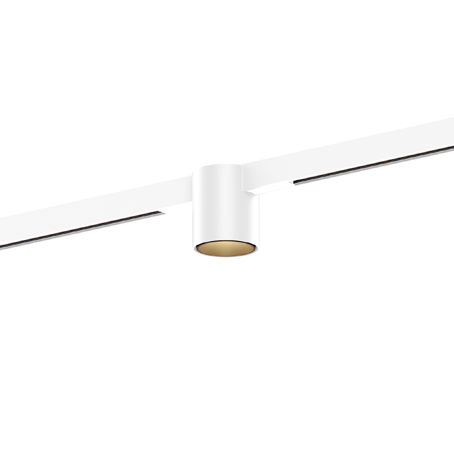 Ray