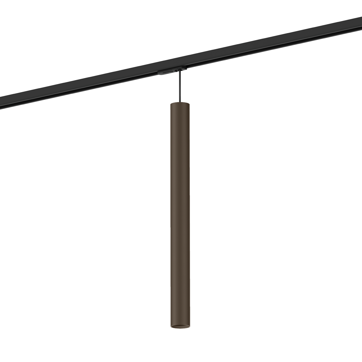 Ray