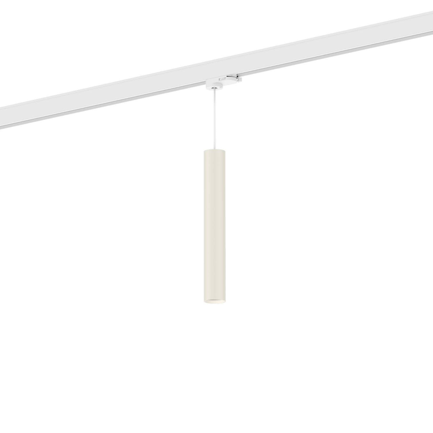 Ray