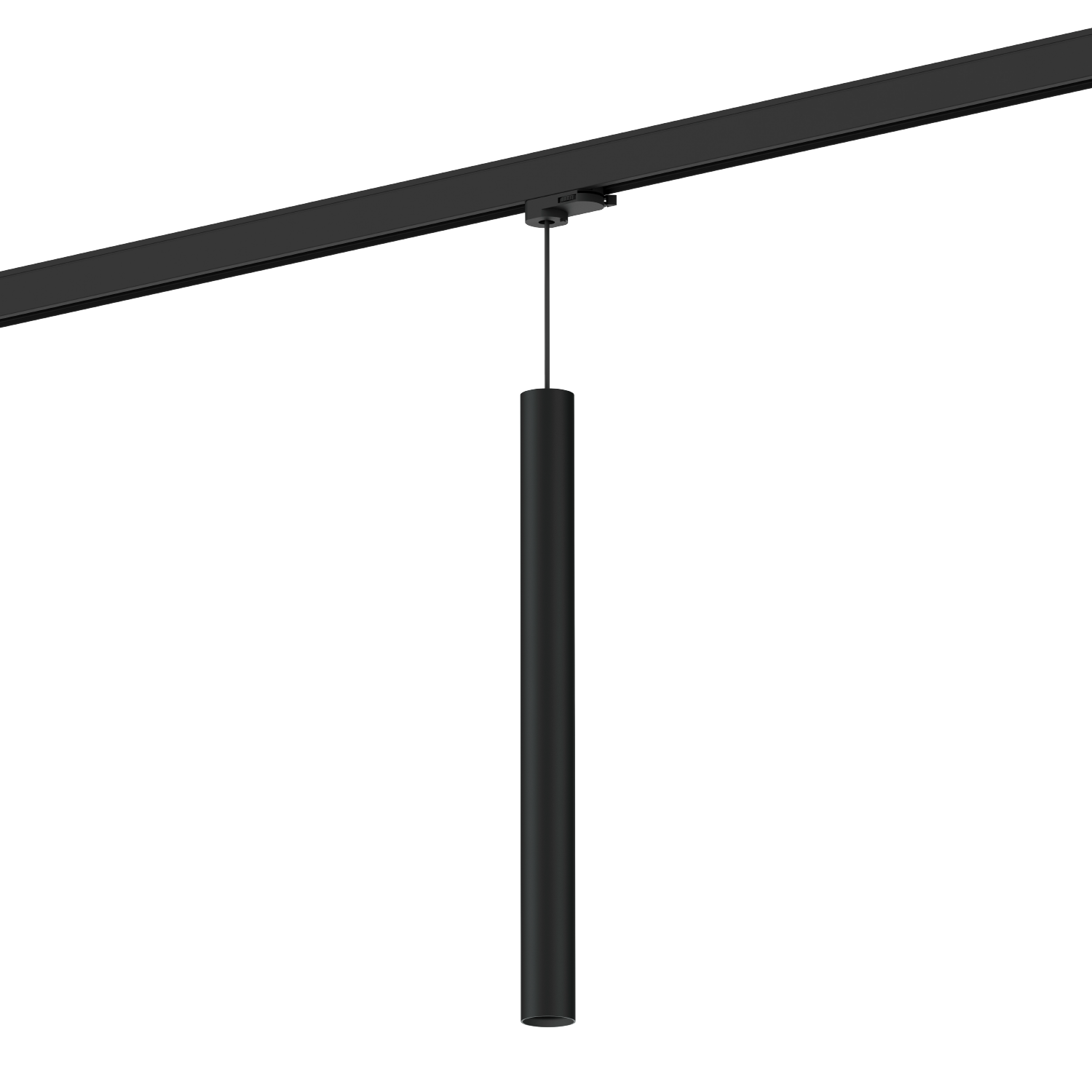 Ray