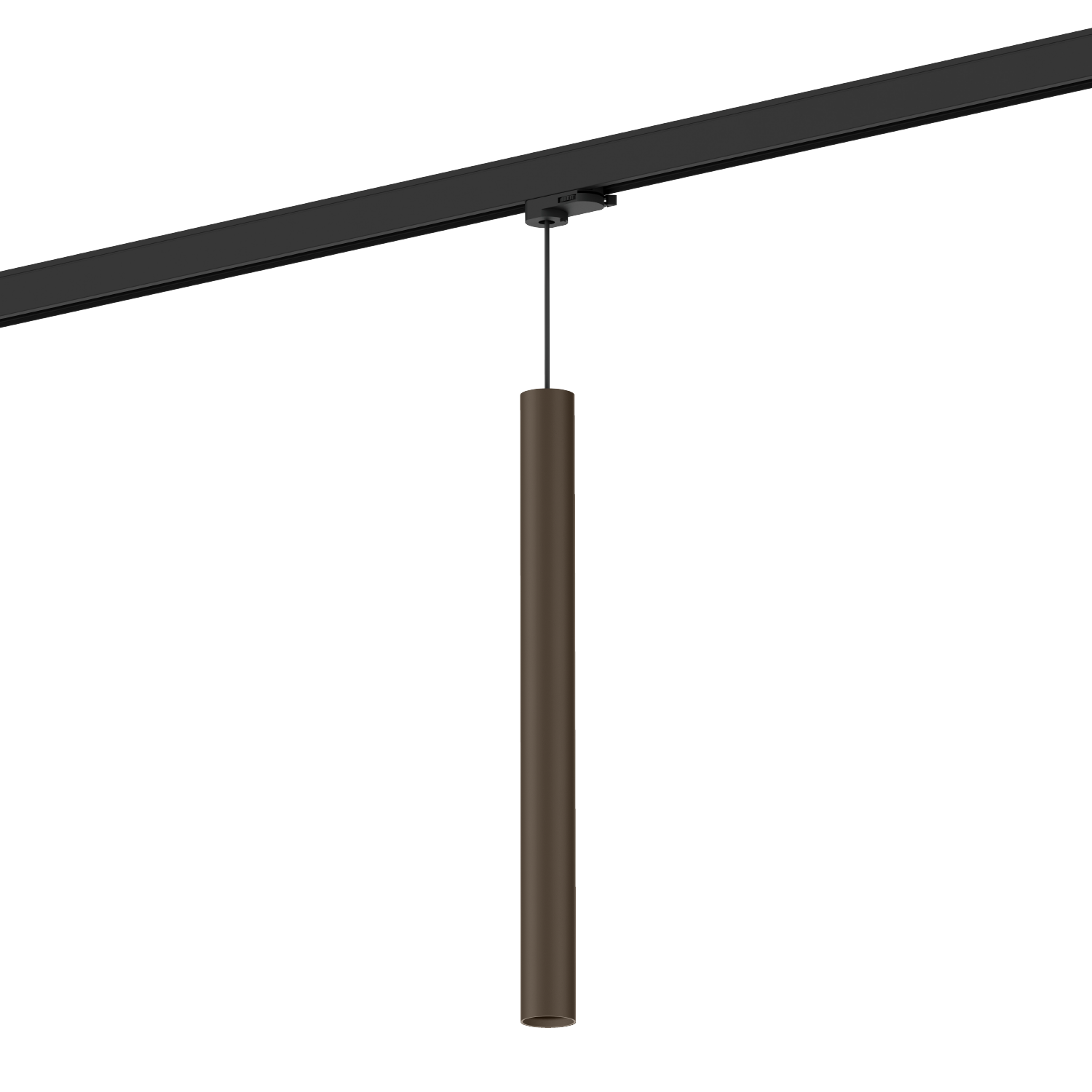 Ray