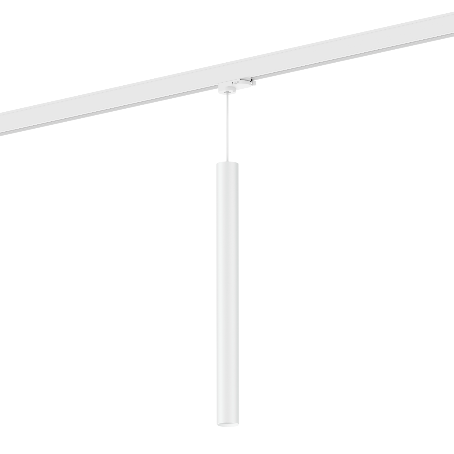 Ray