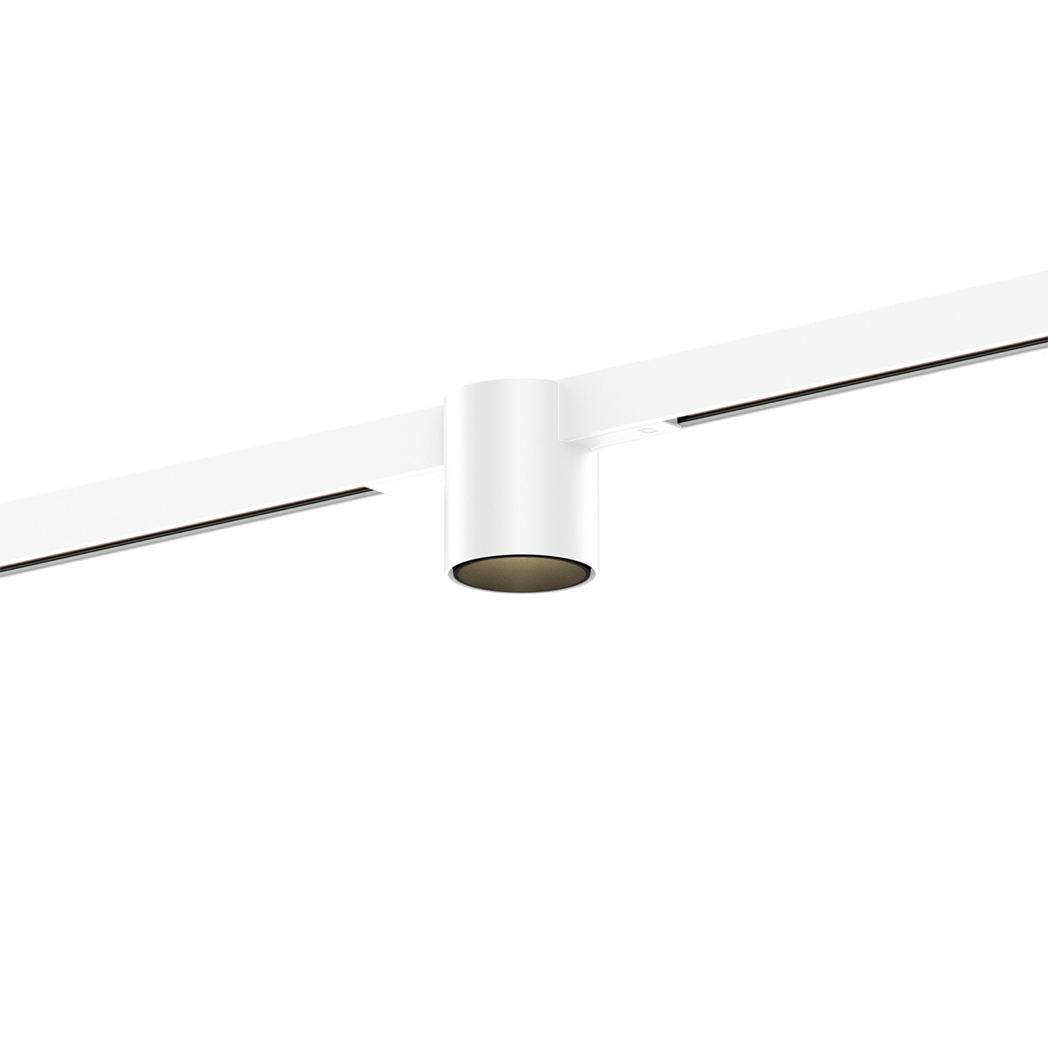 Ray