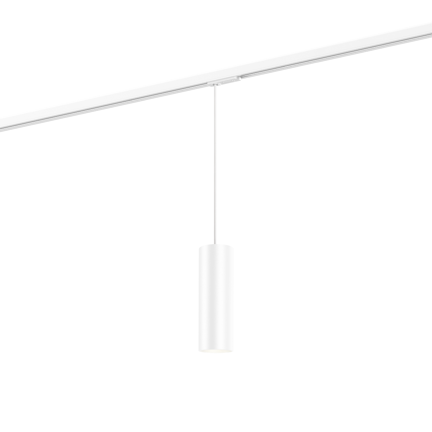 Ray