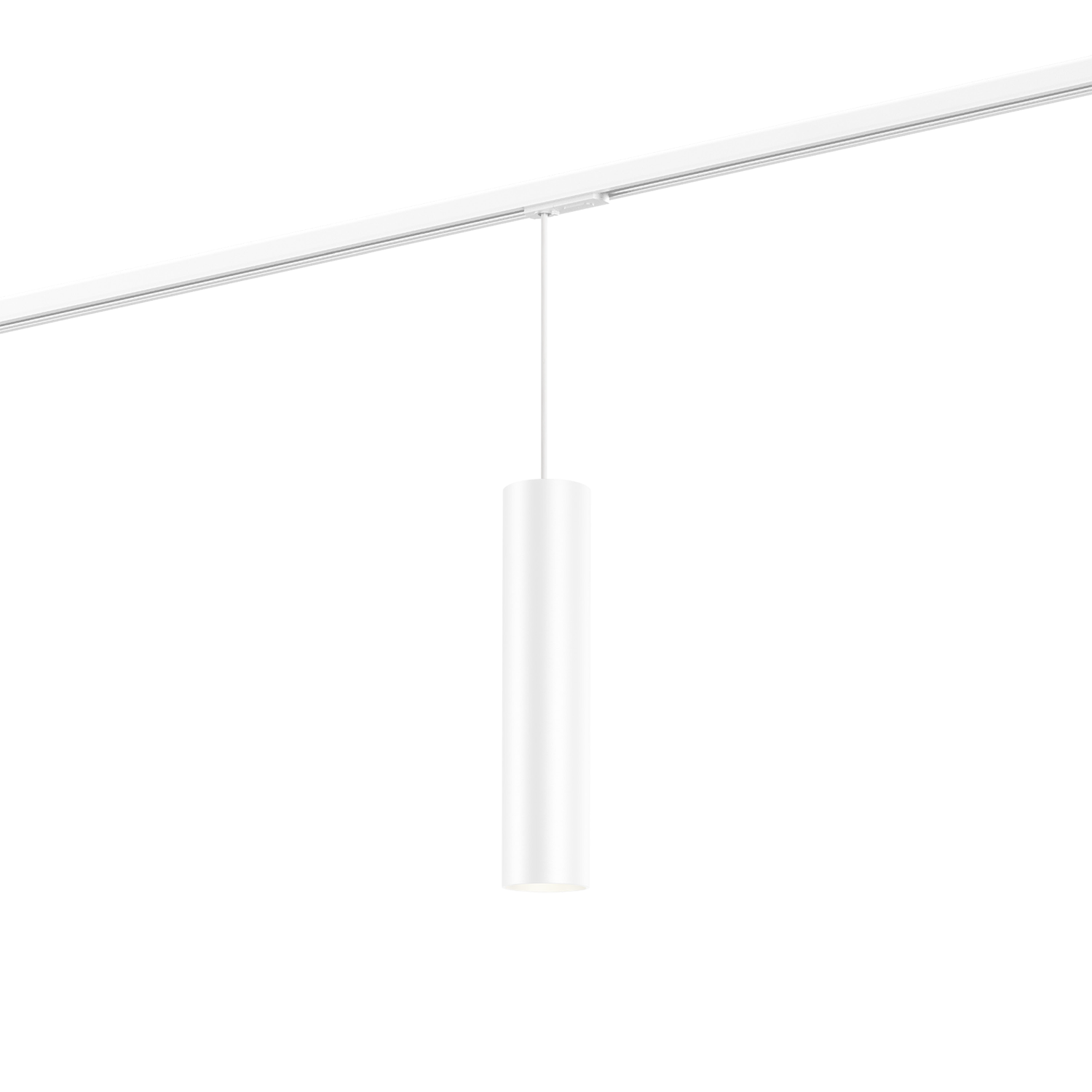 Ray