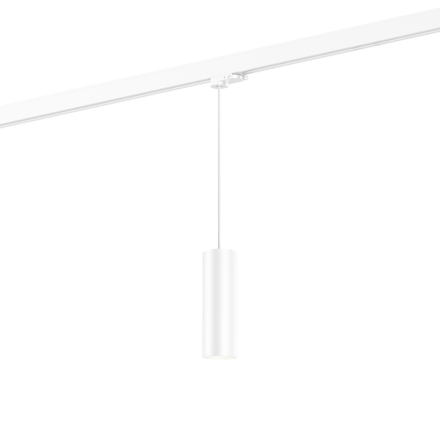Ray