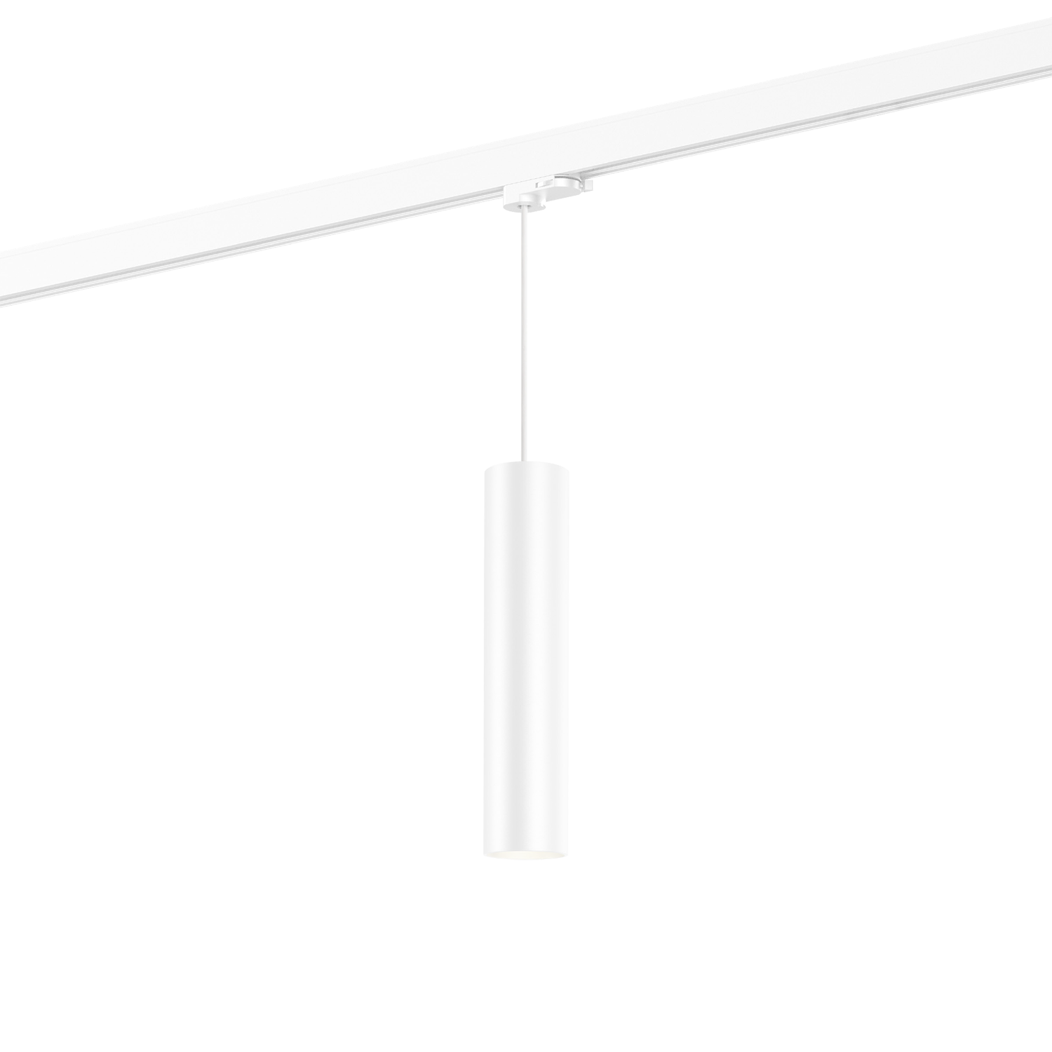 Ray