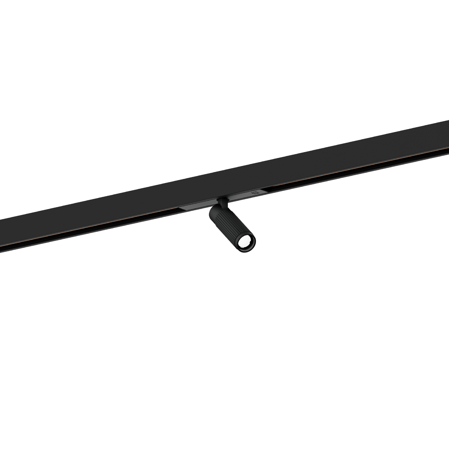 Trace