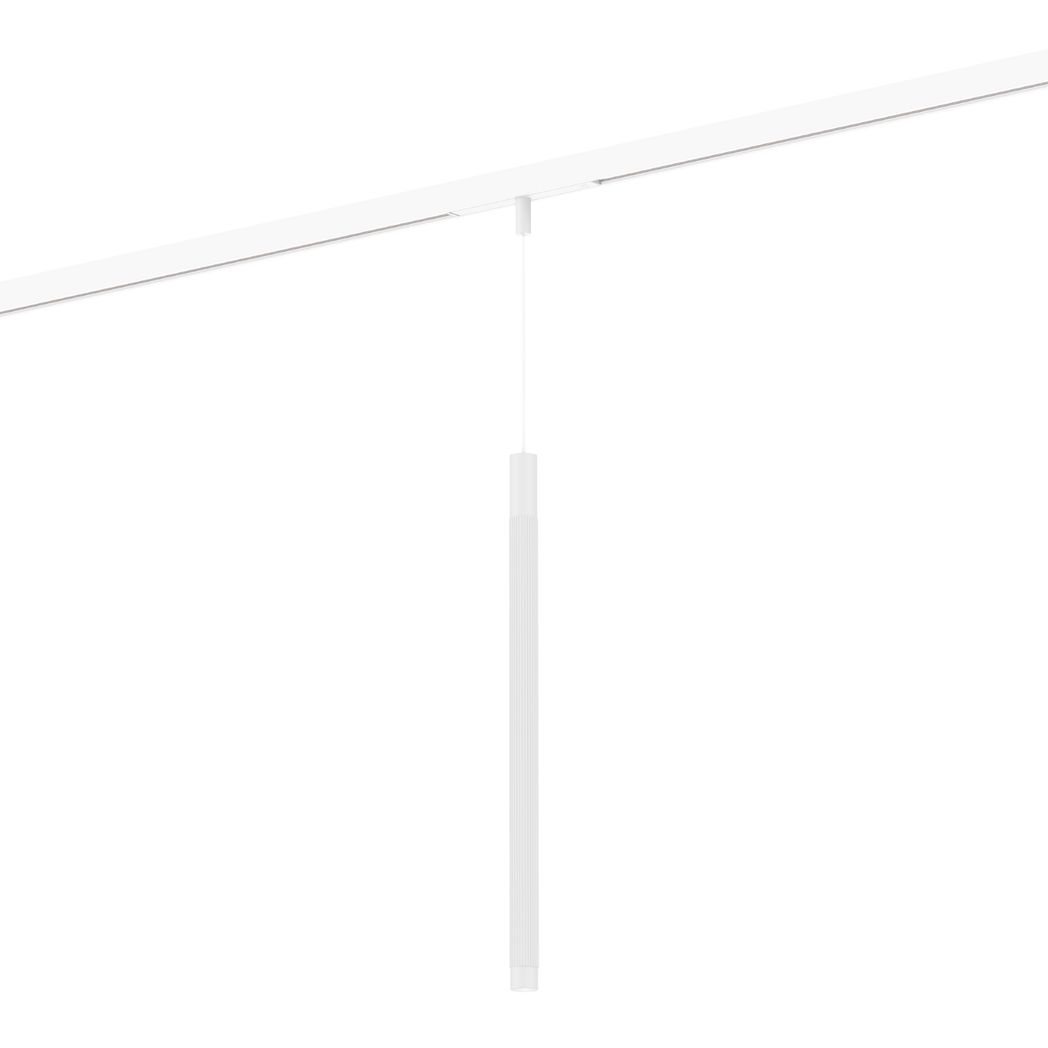 Trace