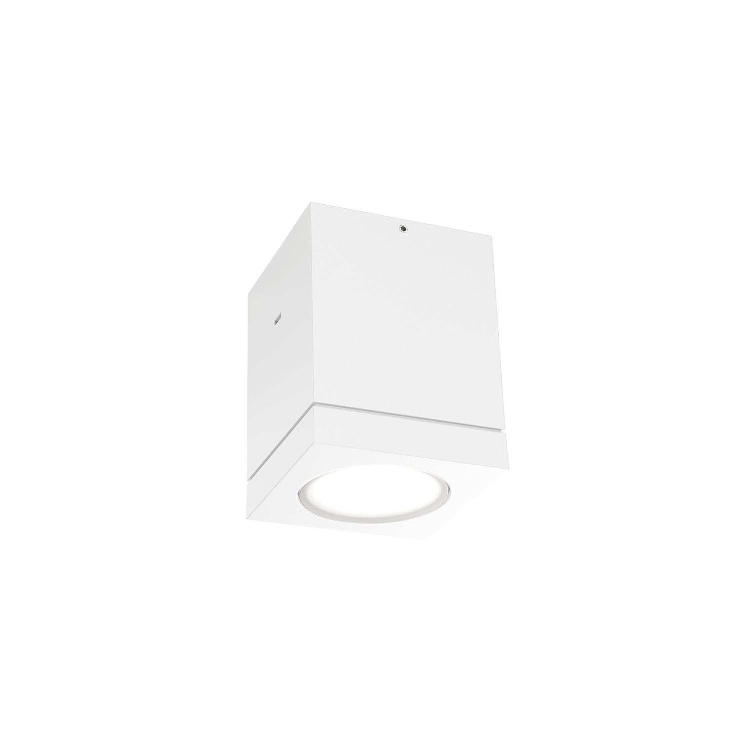 Tube