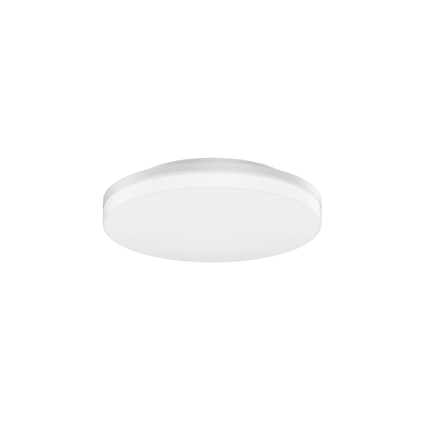 Rob